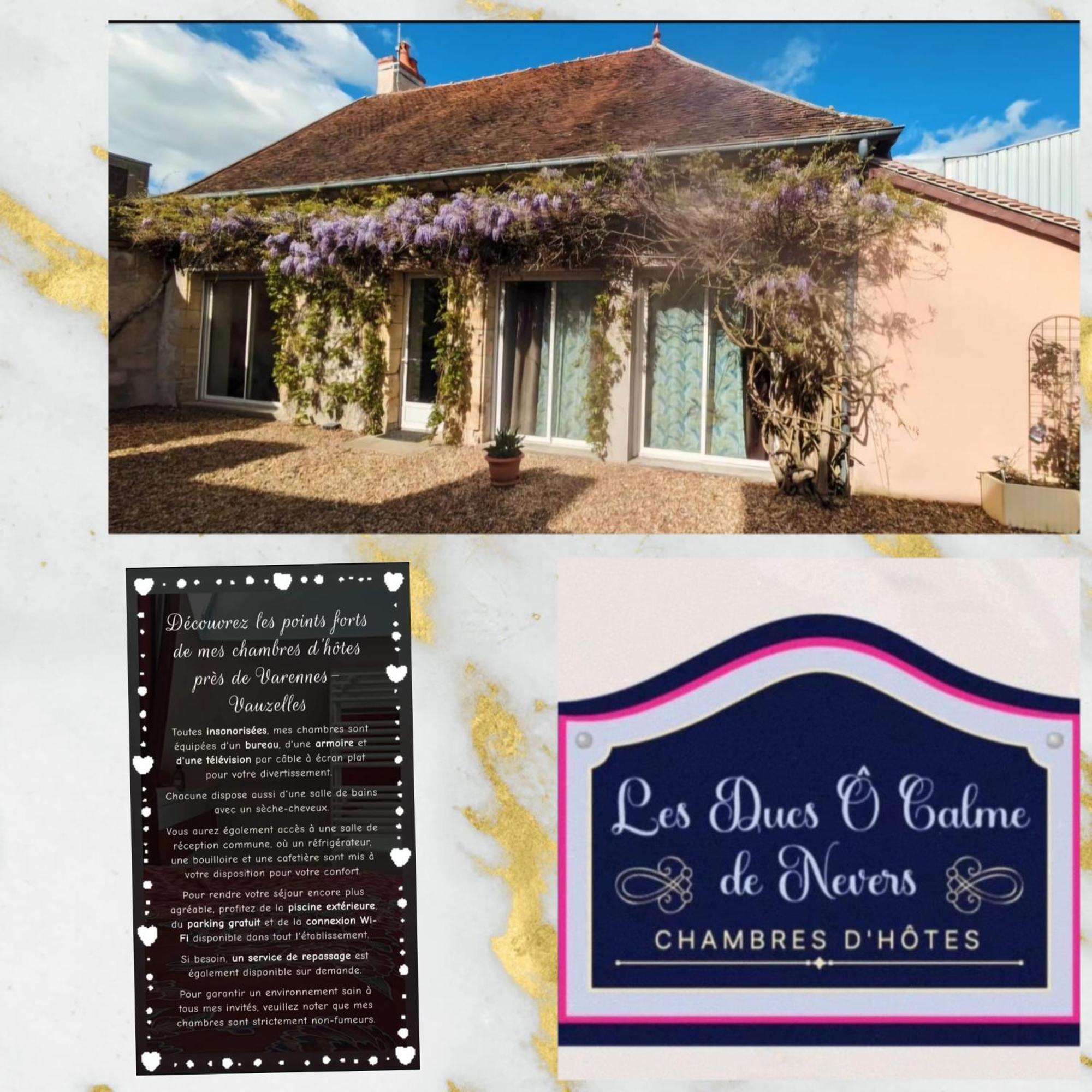 Chambres D'Hotes Des Ducs O Calme De Nevers Exterior foto